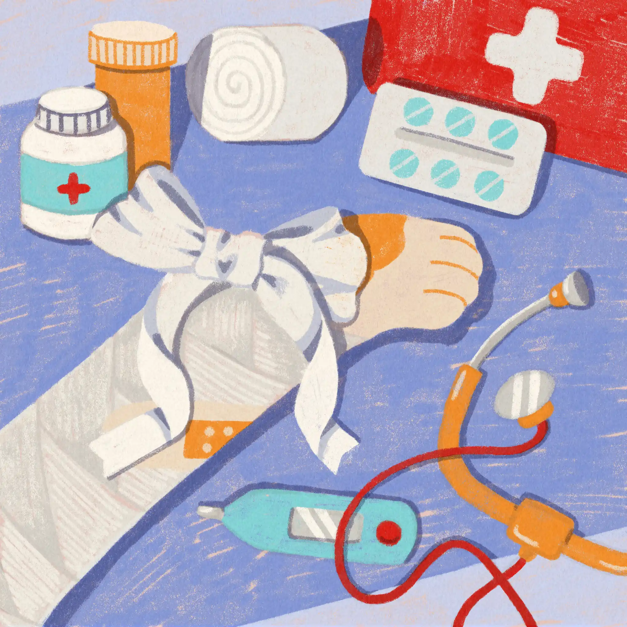 Pet Hospital illustration by Eve