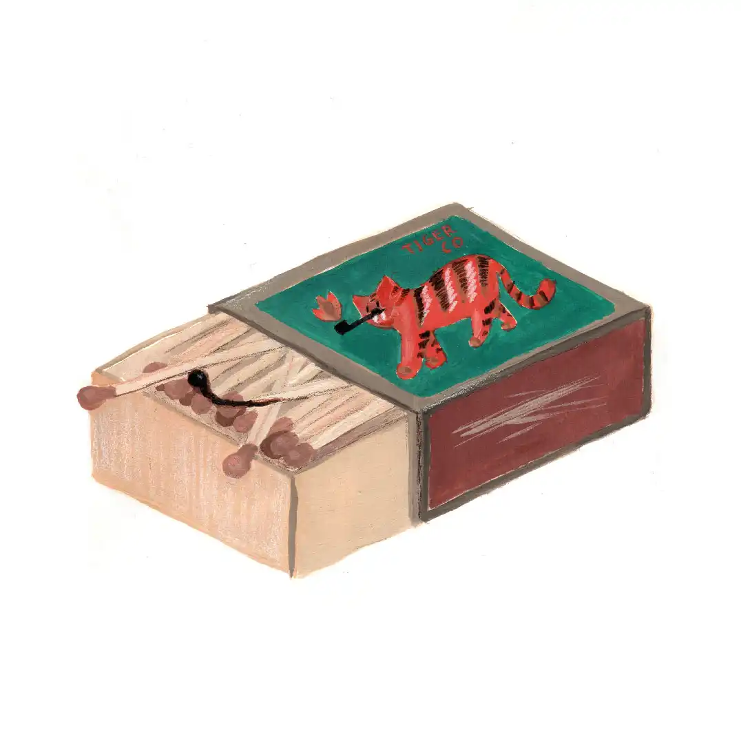 Tiger Matches illustration by Eve
